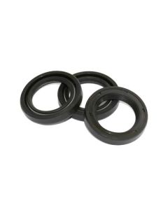 KIT 2 Interpump Plunger Oil Seals D. 22x32x5.5