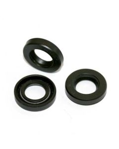 KIT 147 Interpump Pluner Oil seals D. 12X22X4/6