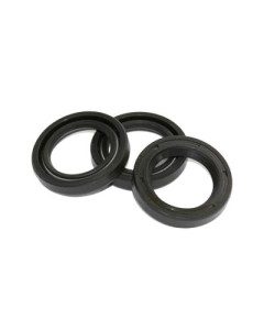 Clone KIT 2 PLUNGER OIL SEALS  22X32 - 34.0002.01 - XS60110020