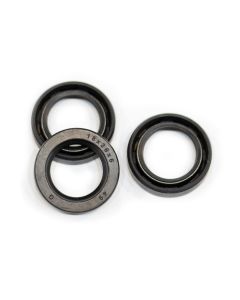 CLONE KIT HAWK PLUNGER OIL SEALS (HD-NST-NHD-NHDP) - 1.099-740.0