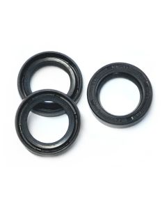 KIT HAWK PLUNGER OIL SEALS (SST-MT-NMT-NPM) - 1.099-751.0