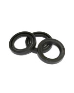 Clone KIT 2 PLUNGER OIL SEALS  22X32 - 34.0002.01 - XS60110020