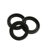 Clone KIT 23 ANELLO PARAOLIO PISTONE D.20x30 - 34.0023.01