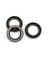 CLONE KIT HAWK PLUNGER OIL SEALS (HD-NST-NHD-NHDP) - 1.099-740.0