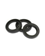 KIT 2 Interpump Plunger Oil Seals D. 22x32x5.5